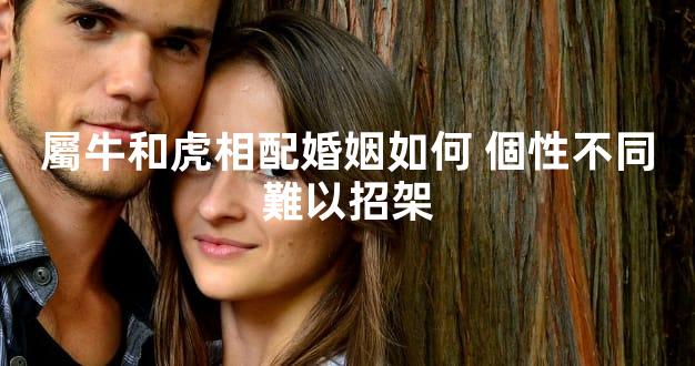 屬牛和虎相配婚姻如何 個性不同難以招架